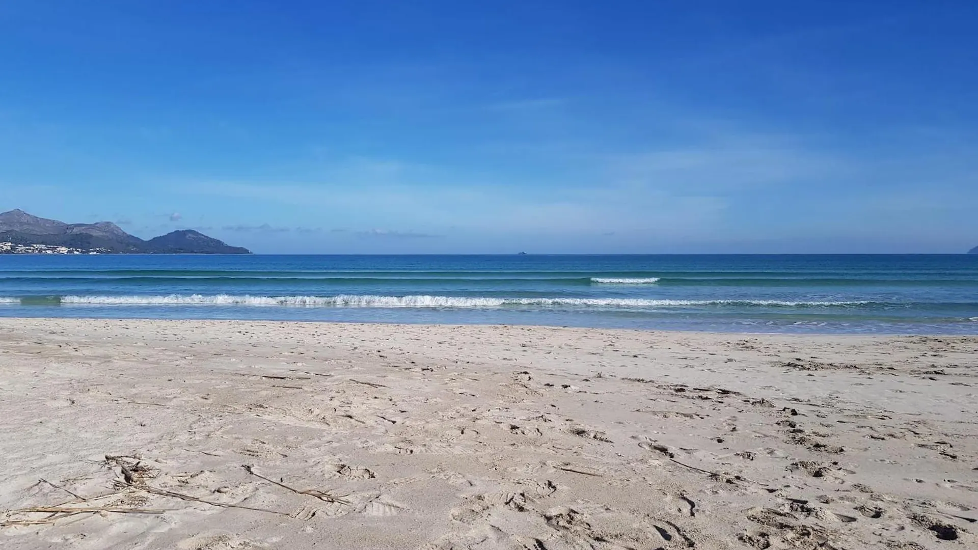 Ideal Property Mallorca - Fortalesa contacts